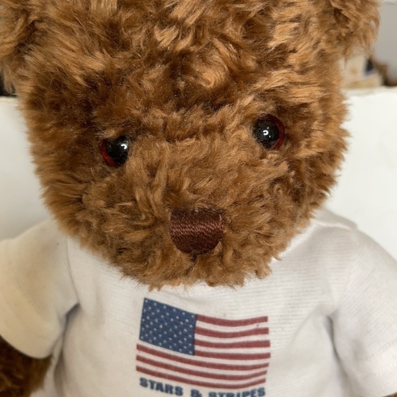 VINTAGE 2000 GUND STAR AND STRIPES WISH BEAR Brown Shaggy STUFFED ANIMAL PLUSH - Picture 5 of 10